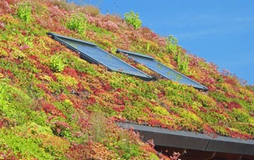 Holyford living roof systems