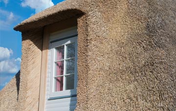Holyford thatch roof disadvantages